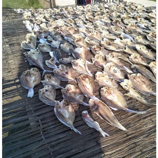 

Ikan asin samge belah bersih eceran 500 g