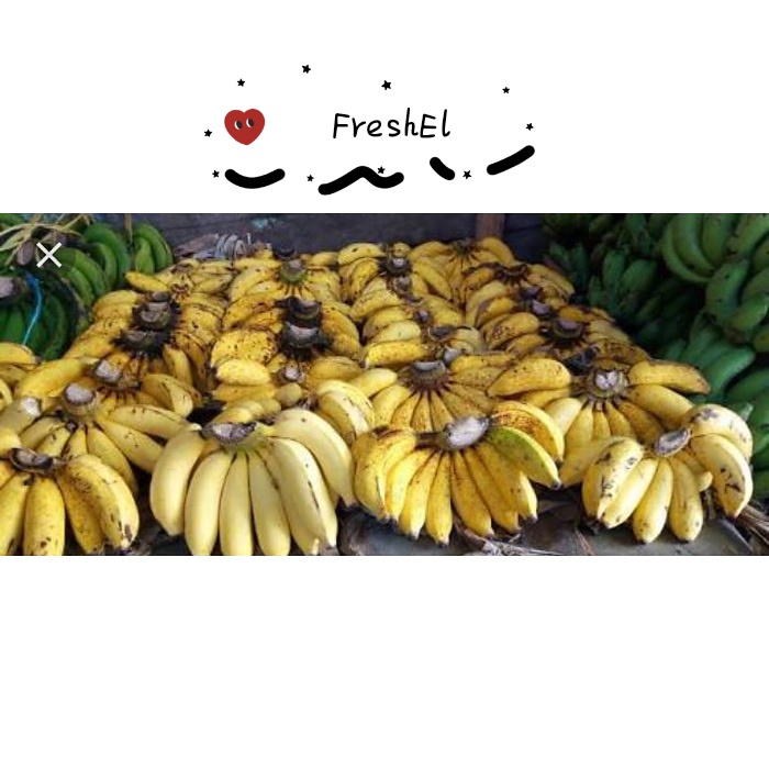 

FreshEl - PISANG RAJA SEREH 1 SISIR