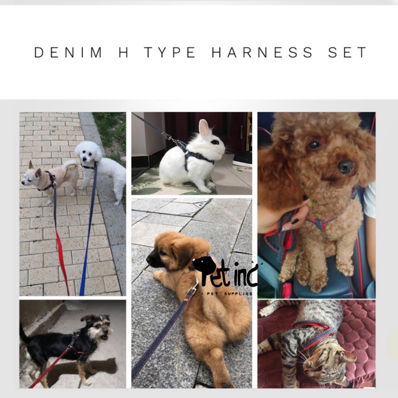 Denim H type harness set