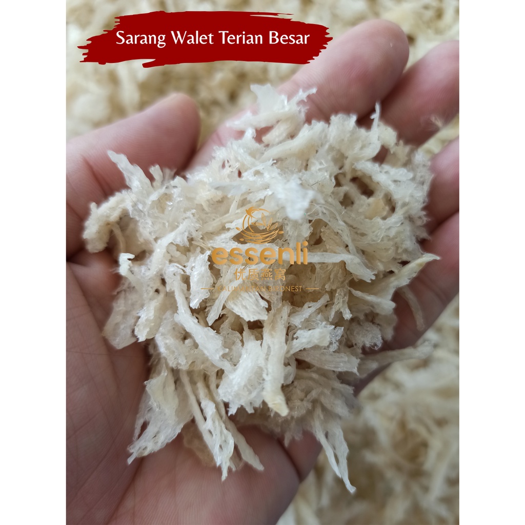 PROMO Sarang Burung Walet (Birdnest/Yenwo)