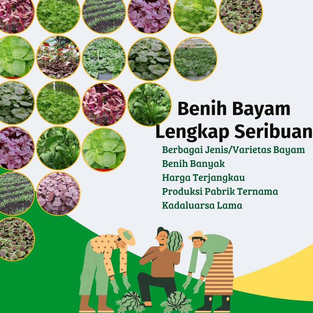 Benih Bayam Lengkap Serba Seribuan