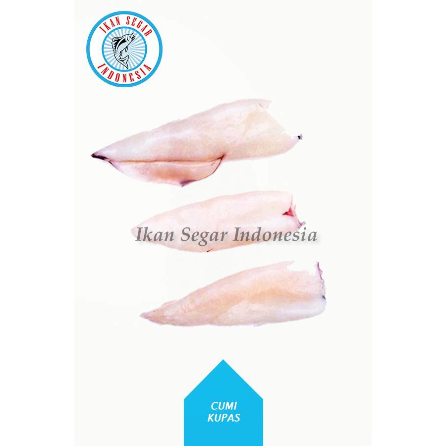 

CUMI KUPAS TUBE / 4-6 pcs/ 900-1000 gr
