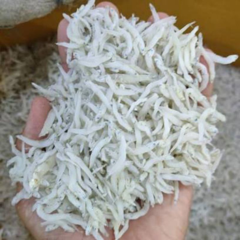 

IKAN TERI MEDAN