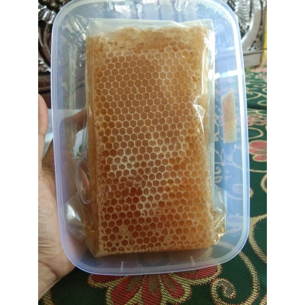 

sarang madu asli multifora