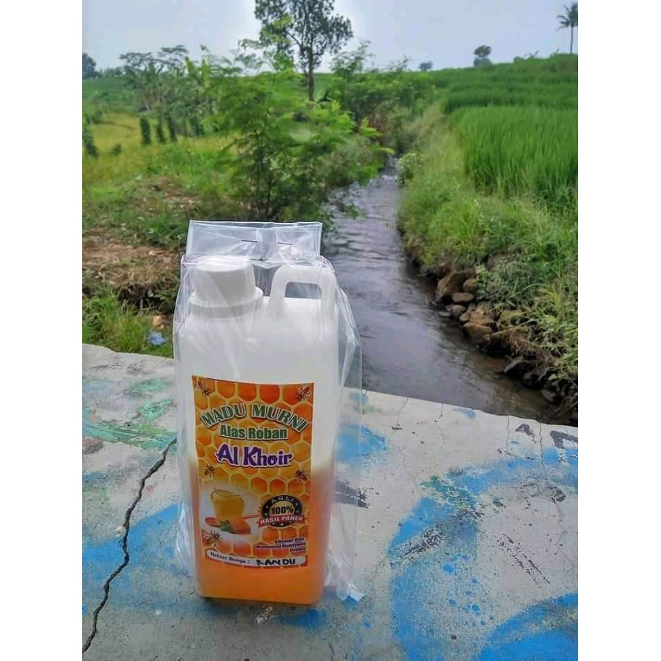 

Madu Randu Al-Khoir - Madu murni dari nektar pohon randu