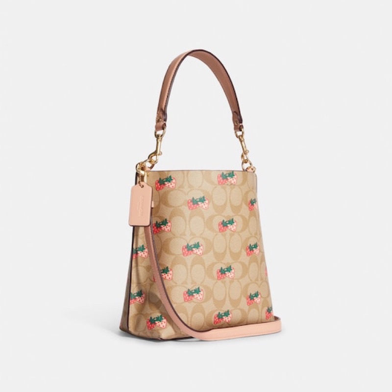 Coach Mollie Bucket Bag 22 In Signature Canvas With Strawberry Print (CB602)