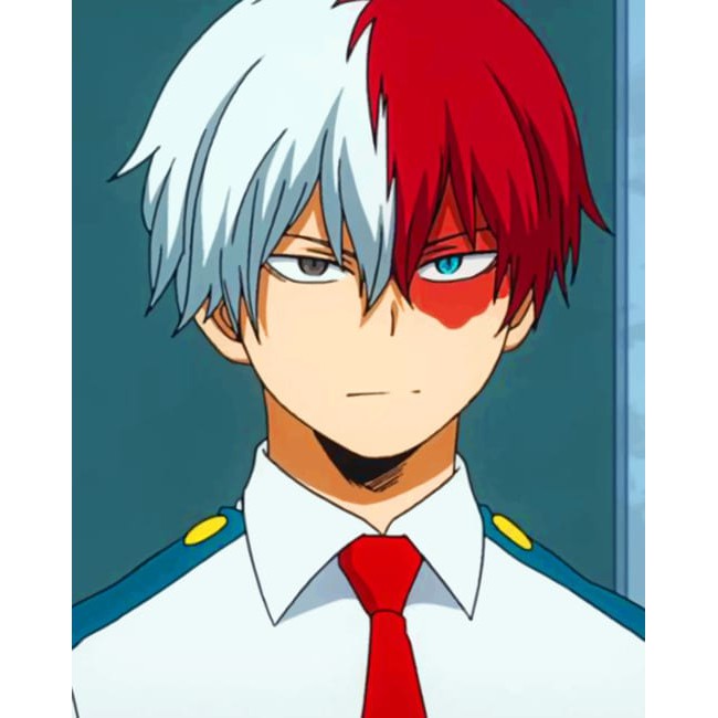 

Todoroki Anime – NEW Paint By Numbers