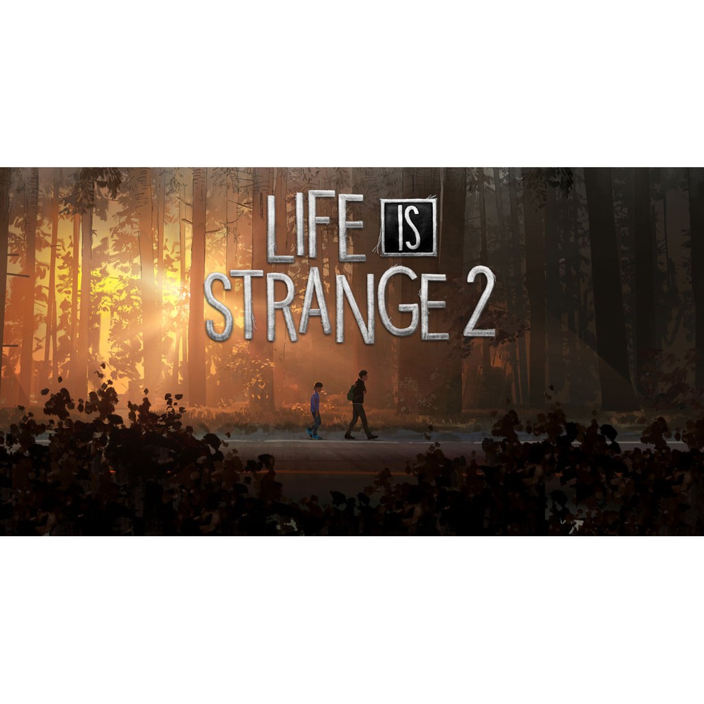 PC - Life is Strange 2 game and Steam Backup