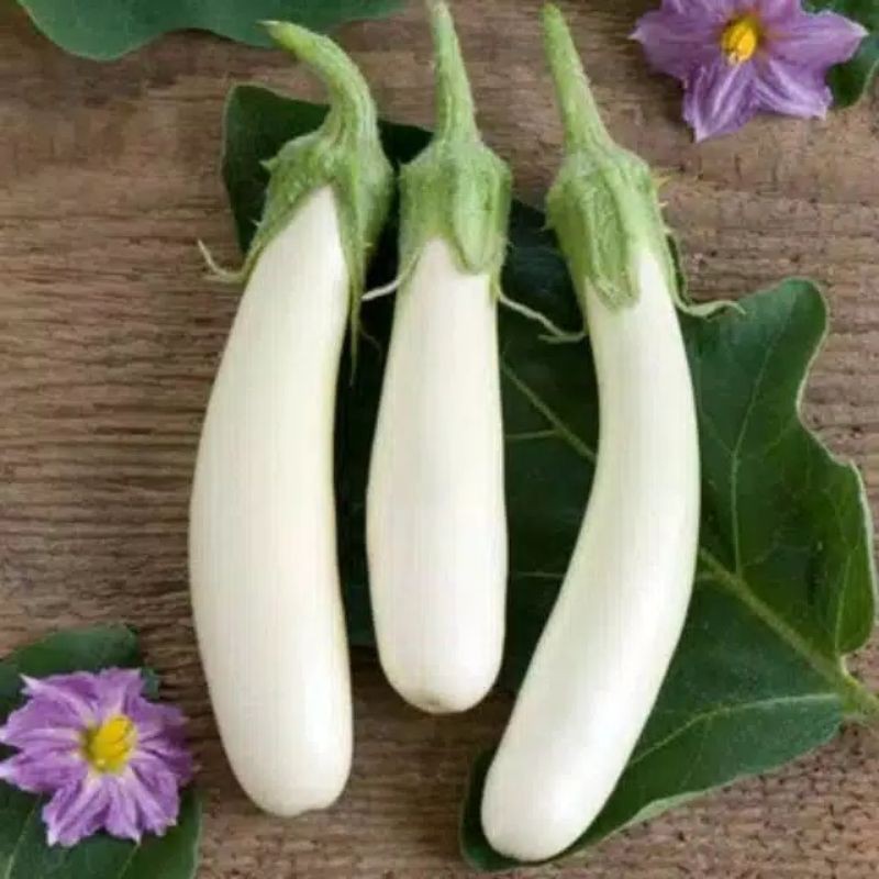 10 biji terong putih kania F1