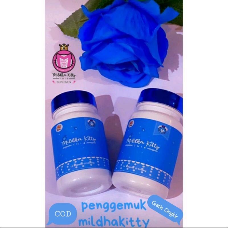 MILDHA KITTY PENGGEMUK BADAN