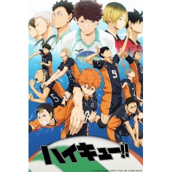 Dvd Anime Haikyuu Season 1 4 Sub Indo Shopee Indonesia