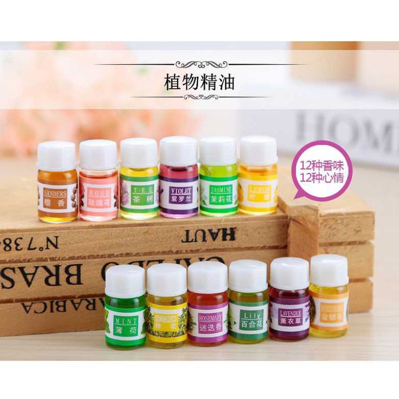 12PCS Essential oil Diffuser Aromaterapi Essensial Esensial Esential Oil Aromaterapi