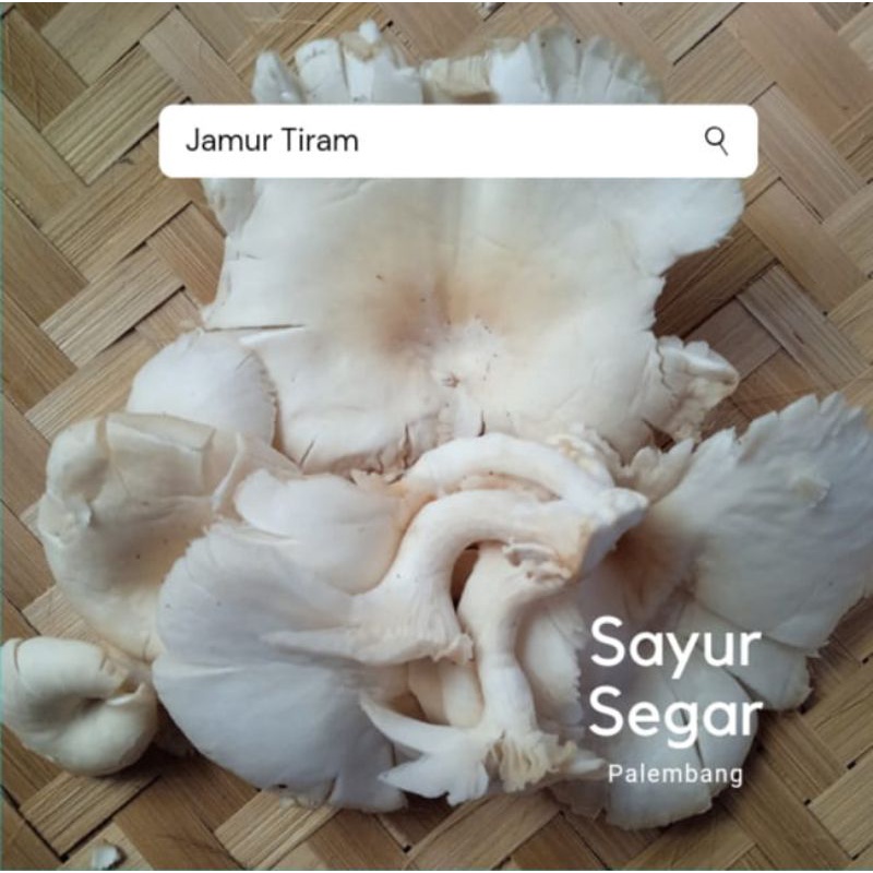 

Jamur Tiram Per 250 Gr Sayur Segar Palembang