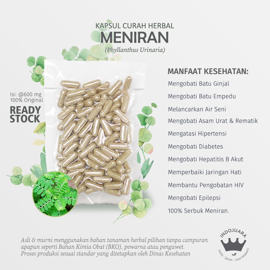 

MENIRAN 100 Kapsul Curah Herbal Batu Ginjal Empedu Rematik Tukak Lambung Melancarkan Air Seni 600mg