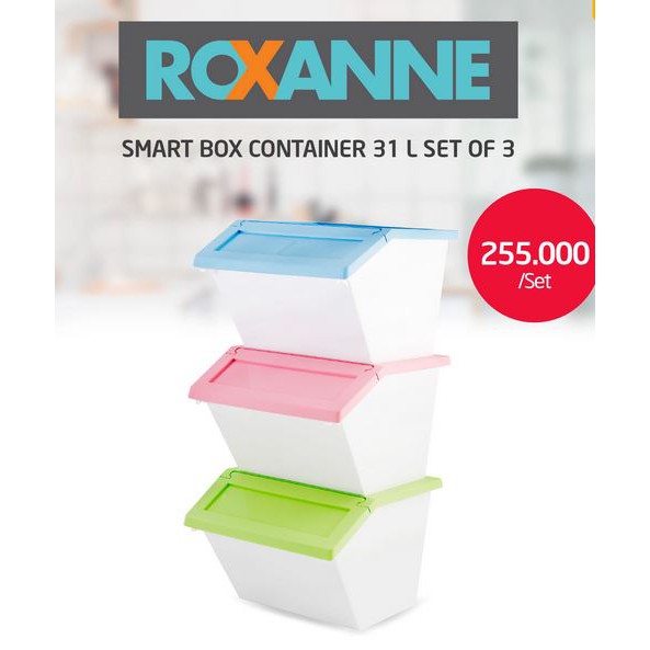 Roxanne Smart Box Container Set Of 3