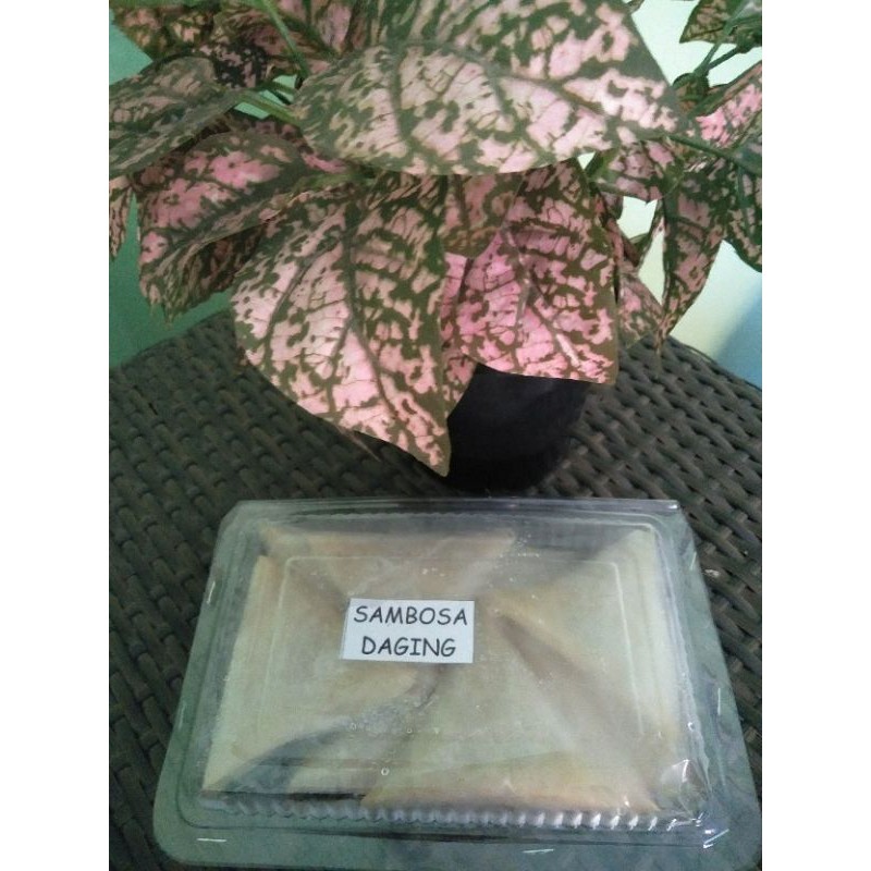 

sambosa frozen food isi 10 pcs/pack