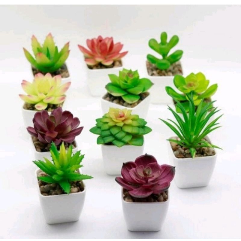 KAKTUS LATEX KAKTUS SUKULEN BUNGA PLASTIK ARTIFICIAL DEKORASI RUMAH