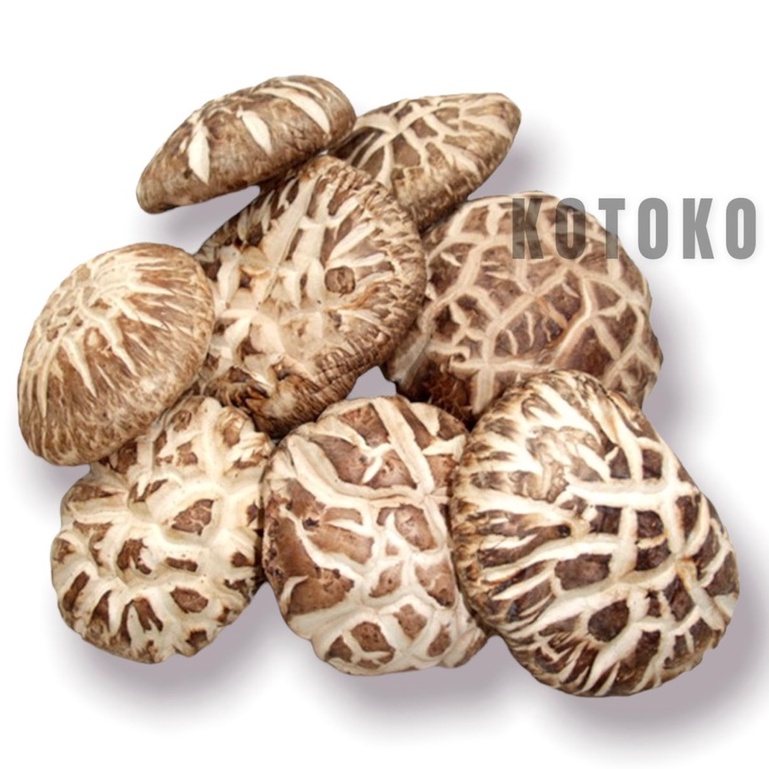 

Jamur Shitake Xiang Gu Hioko Kering Mount Fuji / Dried Mushroom 100gr