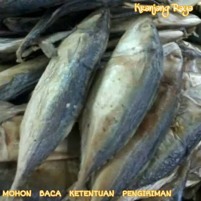 

Ikan peda