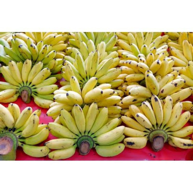 

Pisang Mas /1 Sisir