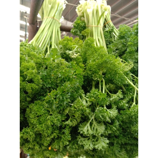 

BSM | TERMURAH Daun Peterseli Segar 250gr - 1kg | Sayur online