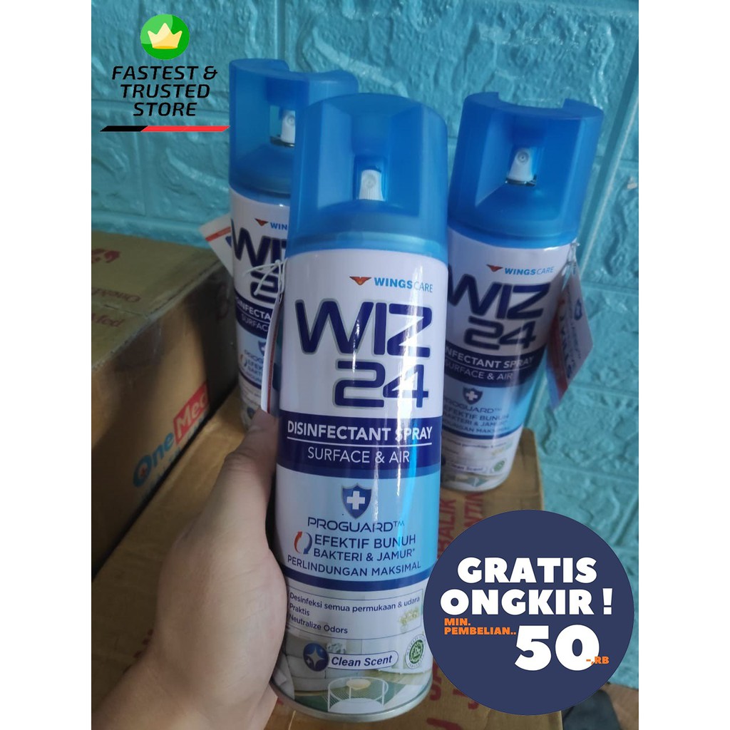 WIZ 24 Disinfectant Spray AEROSOL 300 ml