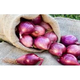 

Bawang Merah Super Fresh