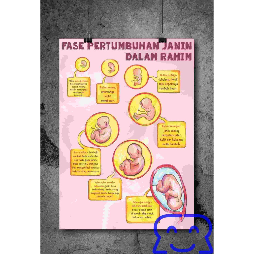 

Poster Perkembangan Janin Dalam Rahim | Paket Poster Ibu Hamil