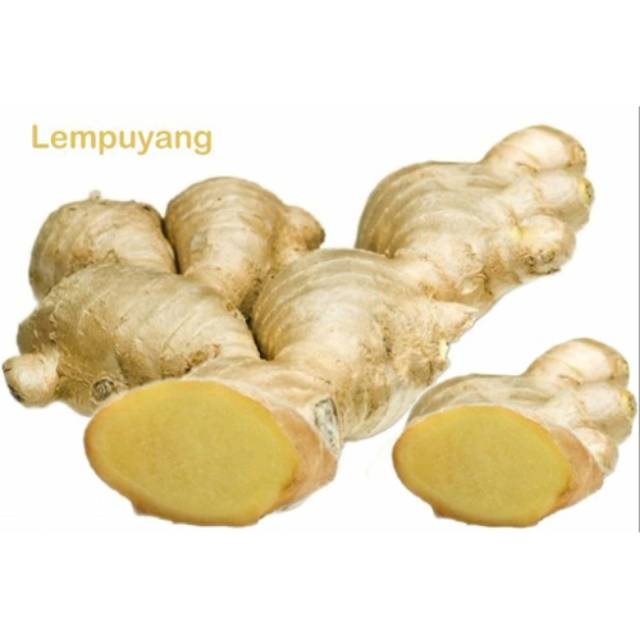 

Ready stock Lempuyang segar 1kg lampuyang Segar