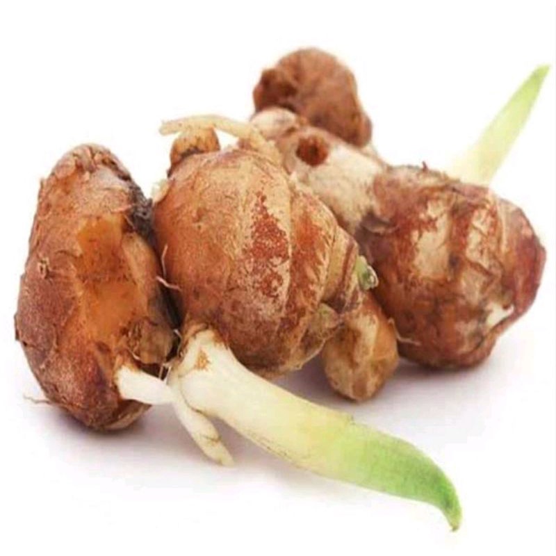 

kencur segar alami untuk herbal (250gr)