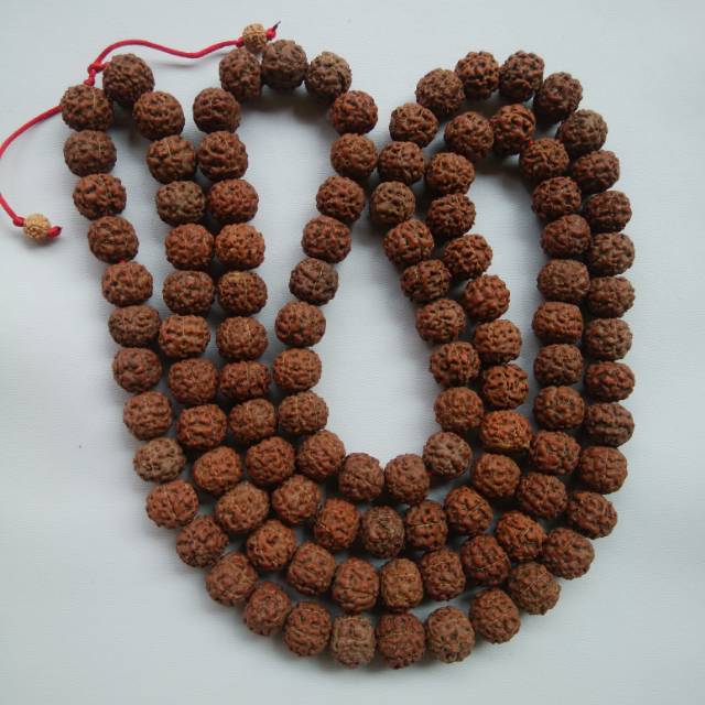 KALUNG JENITRI GARIS 6 BESAR