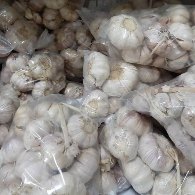 

Bawang putih