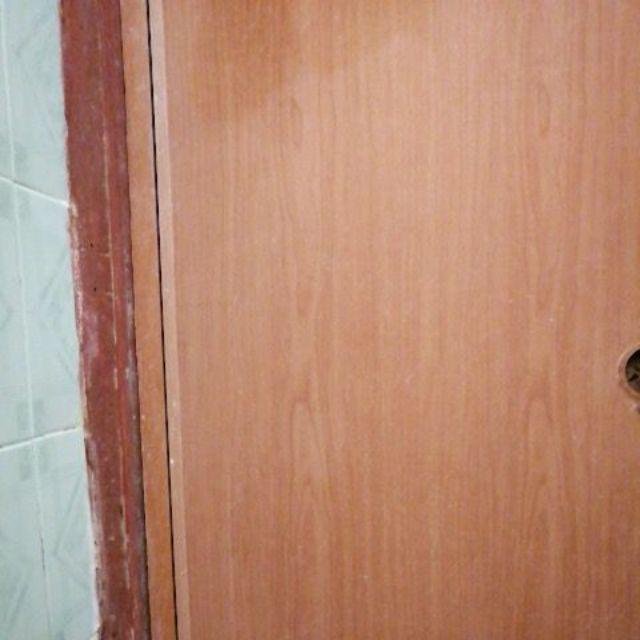 Box Container Roda  50ltr [caraville]