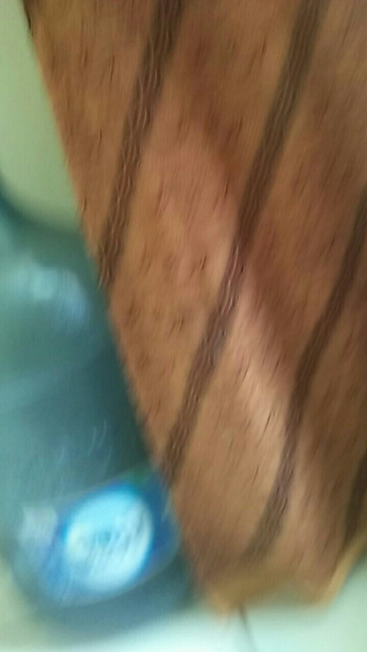 Asifa Batik Hrb026 Kenongo Kemeja Tosca Pendek Pekalongan Padi M L Xl Sogan Tulis Halus Kemeja Batik