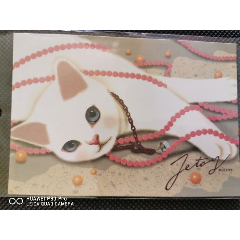 

kartu pos kucing jetoy/jetoy cat postcard
