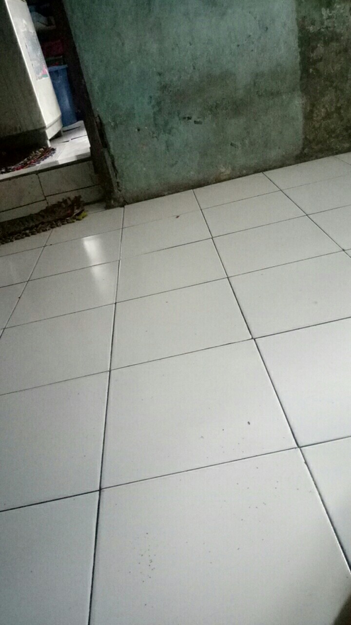 Penggocok Telur Polkadot Stainlessstell