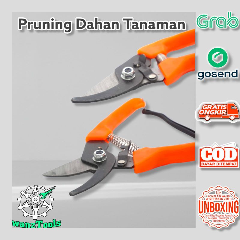 Gunting Dahan Tanaman - Pruning Bonsai Ranting Pohon