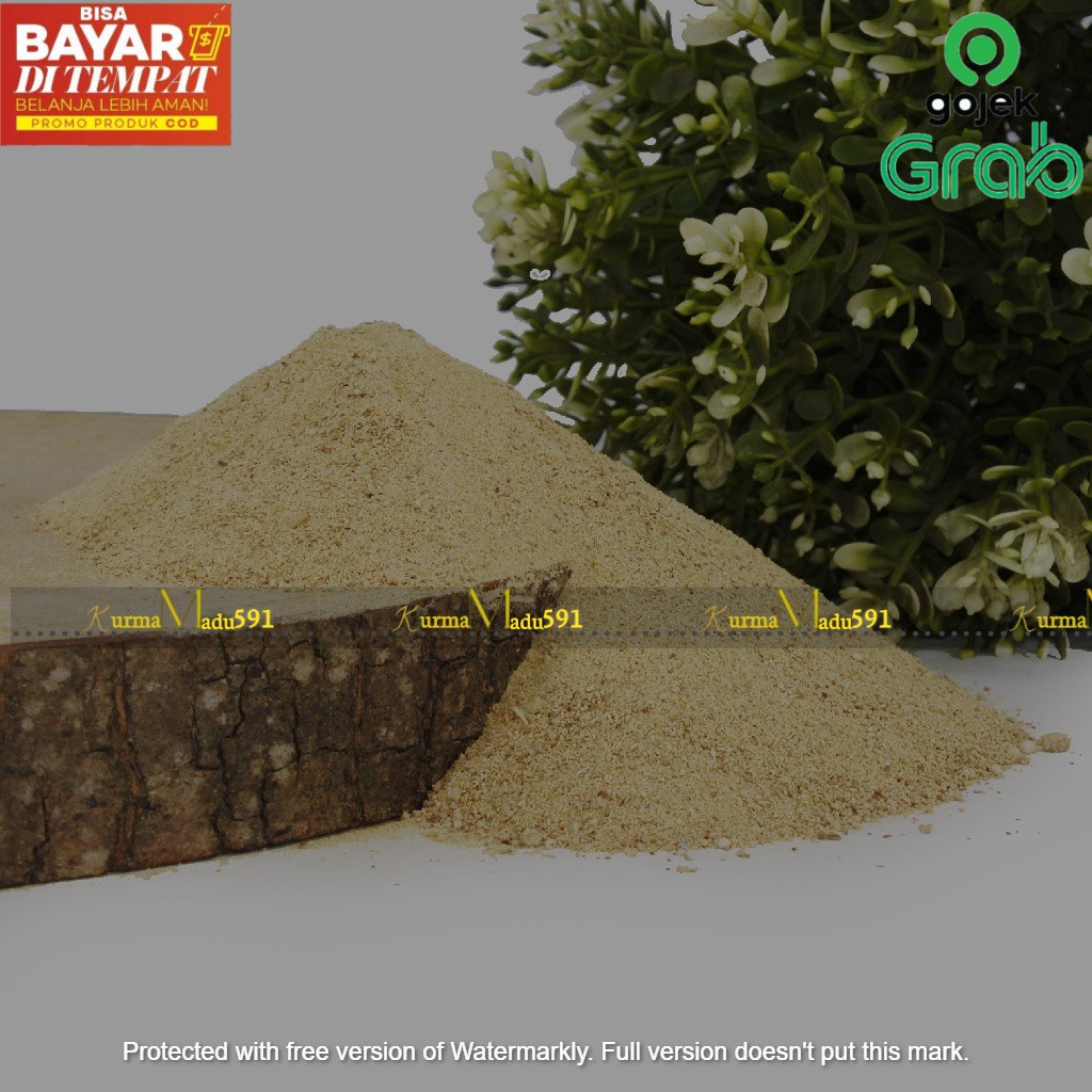 

Bubuk Doum Murni Asli 200 Gram | Serbuk Zuriat