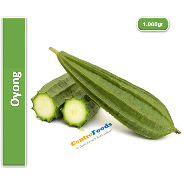 

Oyong Fresh | Jabar [ Harga Per KG ]