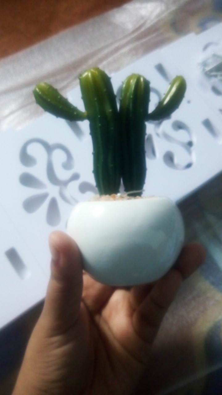 Homes Mystery Box (1 Jenis Produk)