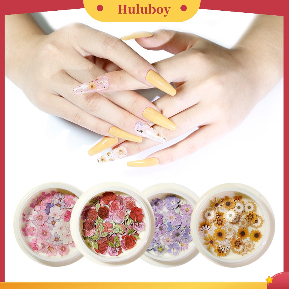 Huluboy Huluboy♡ Irisan Kayu Bunga Mawar Marguerite Sakura Untuk Dekorasi Nail Art