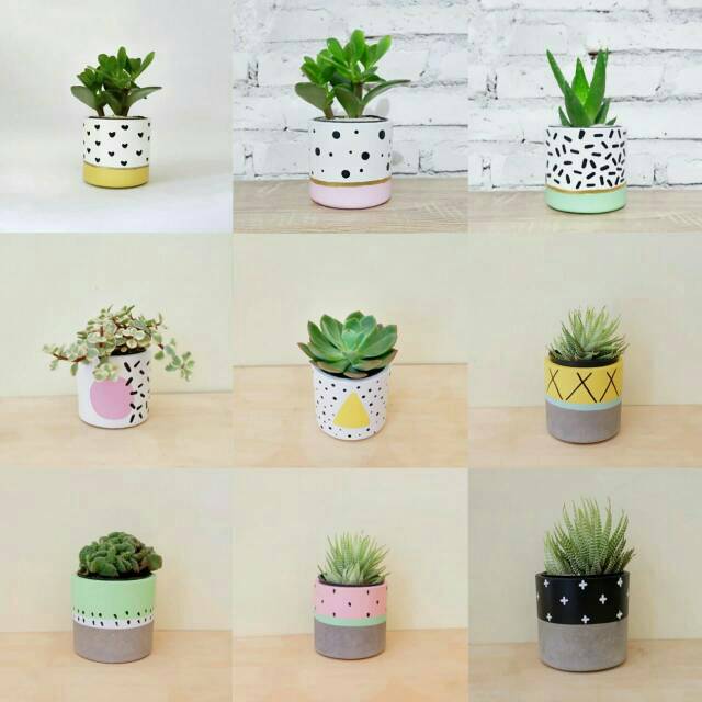  Pot  kaktus  mini lucu floral free kaktus  Shopee Indonesia