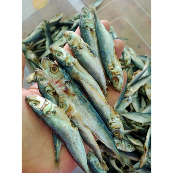 

Pindang/lajang/layang kering500gr
