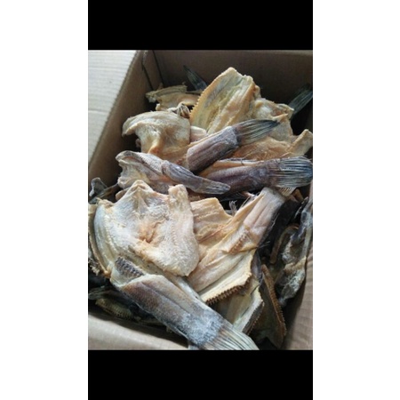 

gabus asin medan 1/kg