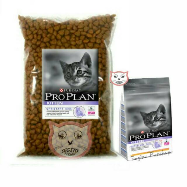MAKANAN KUCING PROPLAN KITTEN
