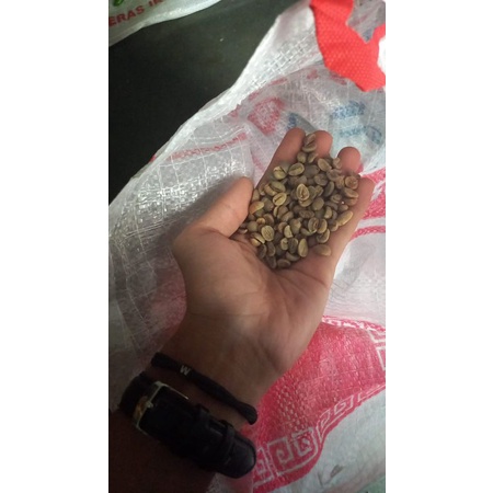 

Greenbean arabica sumatera 1kg