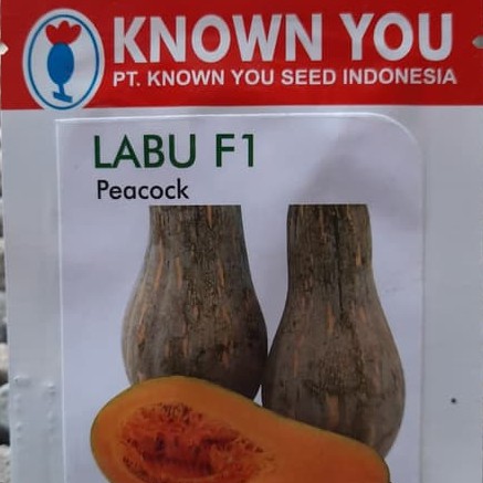 LABU PEACOCK 8 BIJI PACK KECIL Benih labu madu waloh  F1 unggul Known You Seed bibit tanaman sayur sayuran