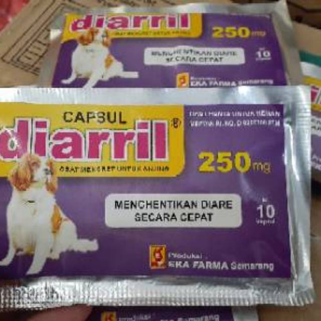 Obat Mencret Anjing Diare Anjing Diarril