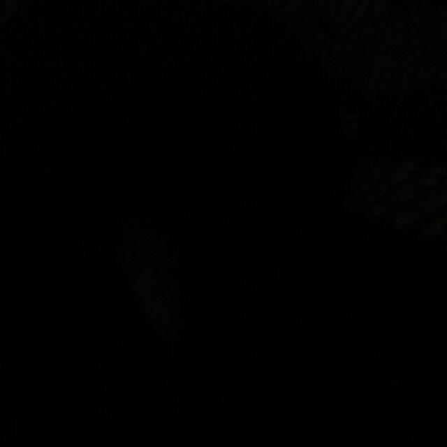 Talenan Set 5 Pcs Pisau Dapur Pisau Roti Pisau Daging Gunting