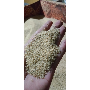 

telor jangkrik alam/cliring super isi 6ons